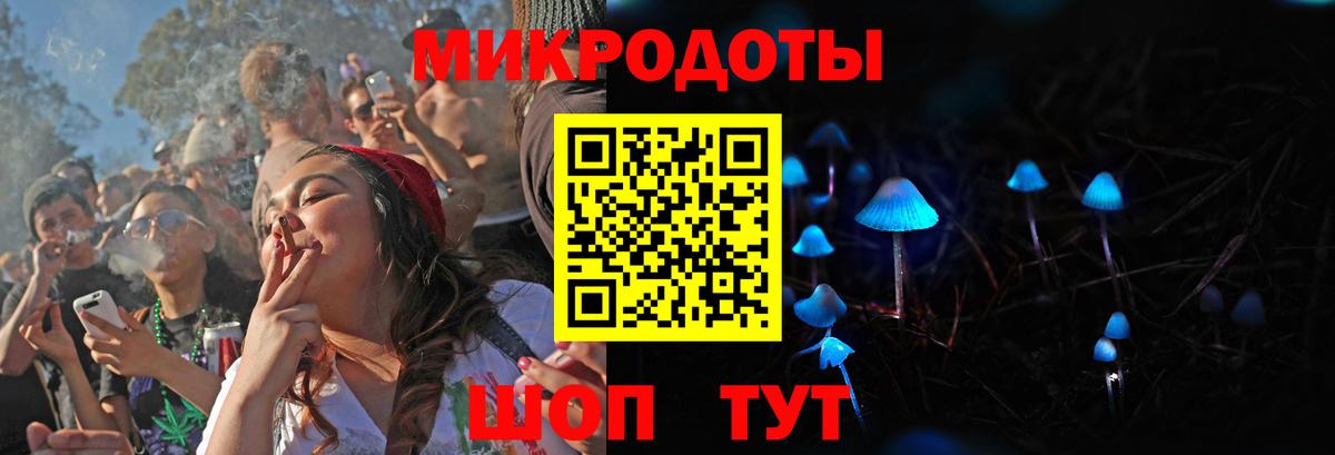 Псилоцибиновые грибы Cubensis Свободный